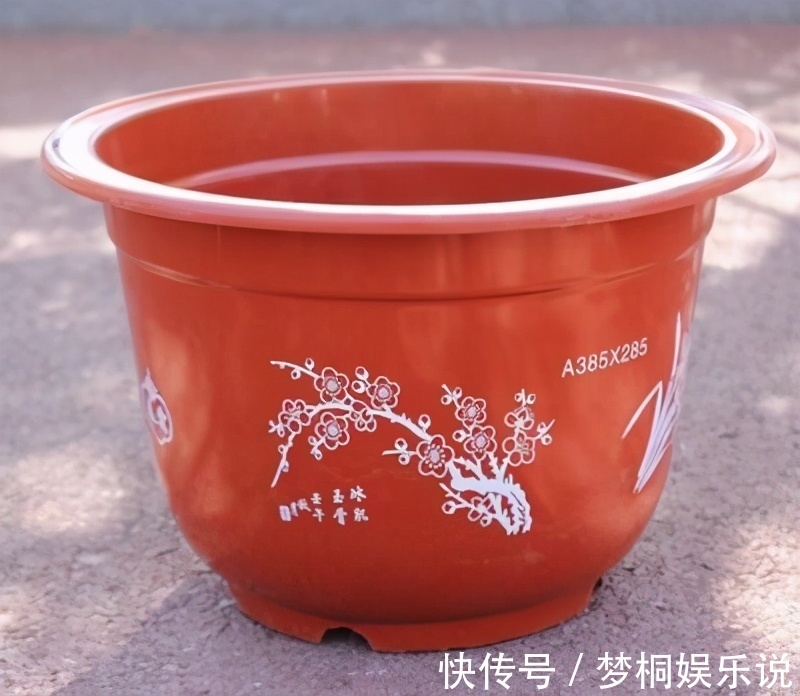 坏习惯|养花失败、伤亡多,源于这“3个”坏习惯的养成