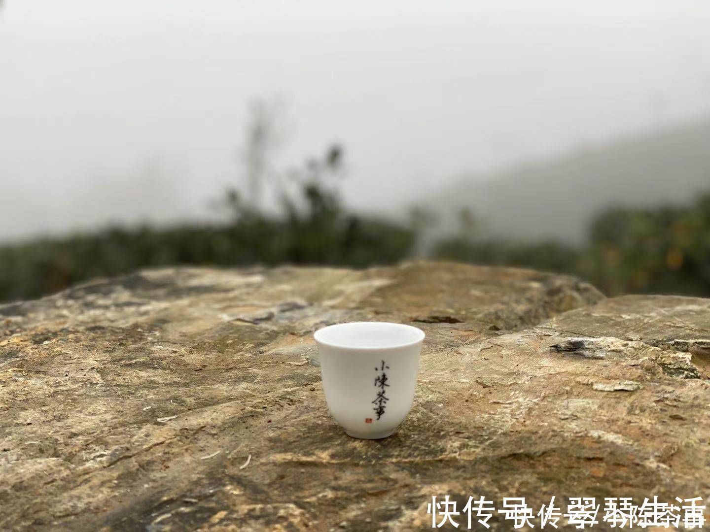 火香#白茶喝起来绿茶差不多,香气都一样?其实它们的香气有3大不同