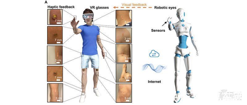 VR|打造线下版元宇宙！机器人VR助力远程做核酸，登上Science子刊