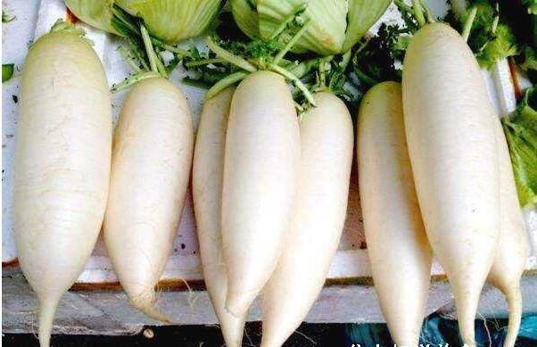 干贝|它堪称“肺部清洁工”，抽烟的人要多吃，给肺部来场“大扫除”