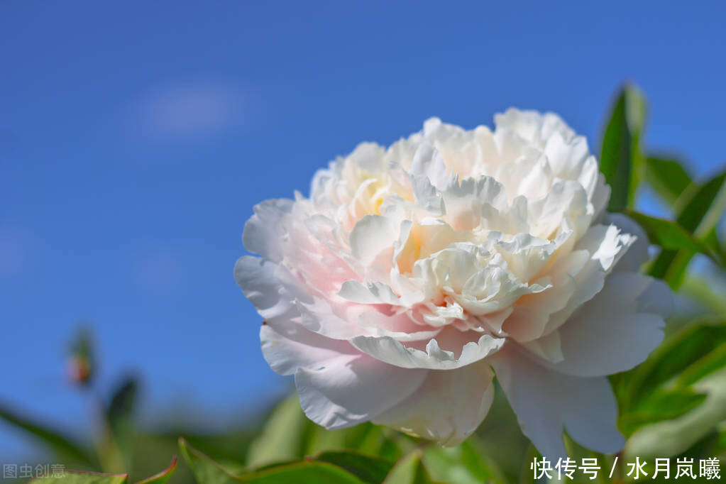 笔下|树深时见鹿,溪午不闻钟,看李白笔下的壮美河山,清浅光阴