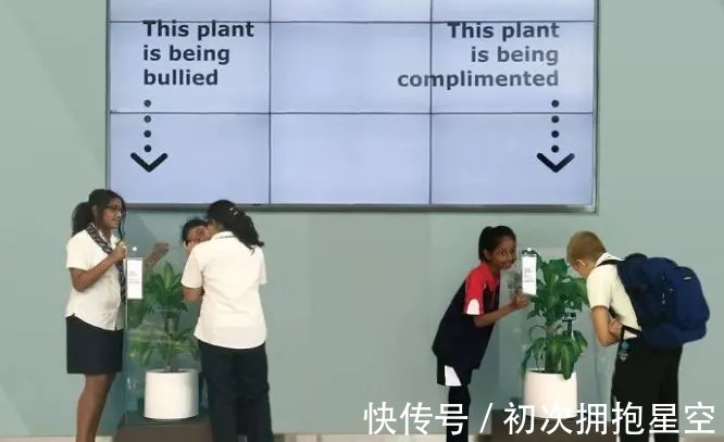 尹建莉|废掉一个孩子,就不停说他、说他、说他