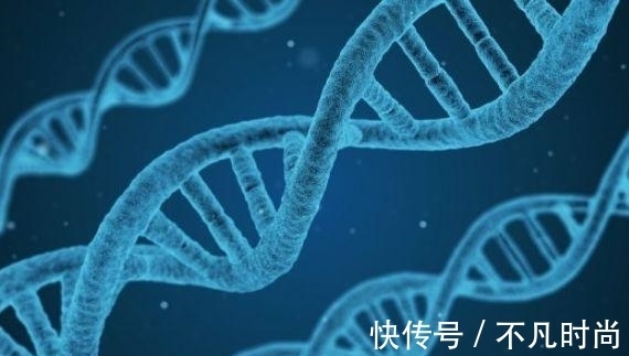 癌症|提高抵抗力、预防癌症,营养师提醒:补硒最关键,2种食物不能少