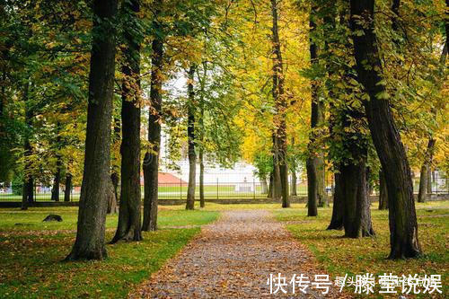 孩子|阴历哪几天出生的孩子,智商高,一个比一个有前途,事业大成