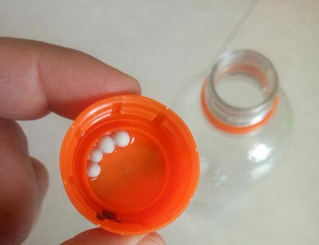 绿萝最爱喝的5种水,喝完长得贼快,叶子像刷了“绿油漆”