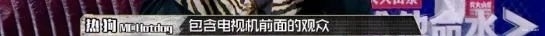 15场比赛13个冠军的小青龙究竟输了哪两场？