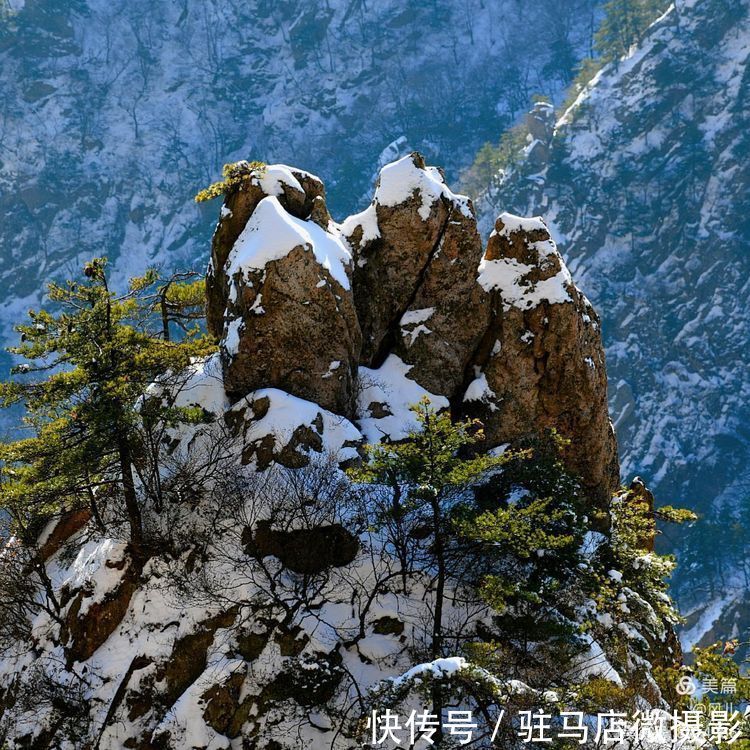 老君山：追梦你的白雪，你却馈赠天宫云海