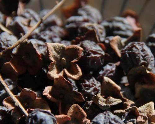 熬夜身体在反抗，以下食物别放过，镇静安神，提高睡眠质量