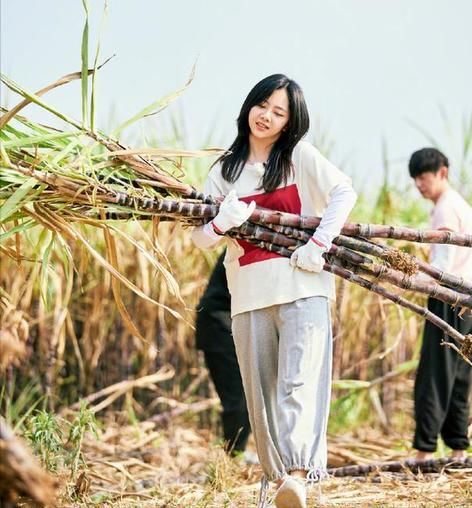 常驻有张艺兴，飞行嘉宾有杨紫，《向往的生活》终于不“抠门”了