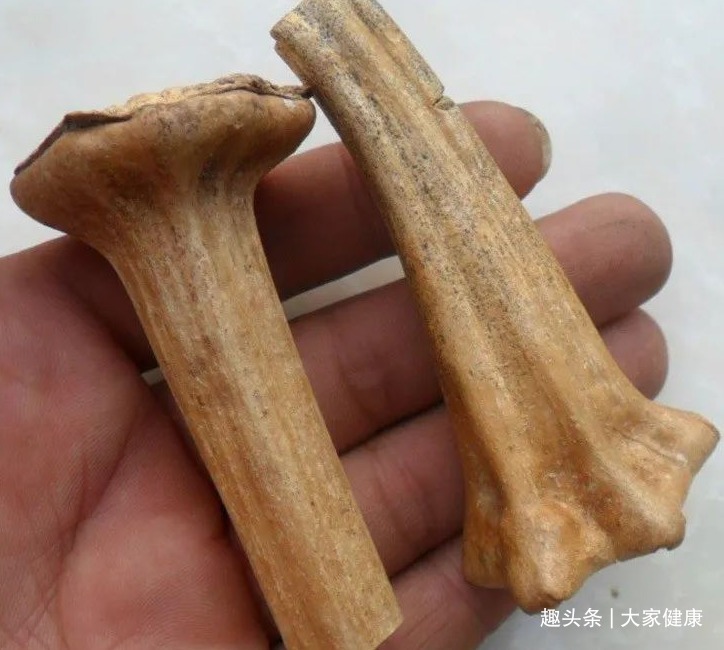 刚毛|1根南瓜蒂,治病大功效!南瓜蒂的5大功效,横扫身体5种疾病!