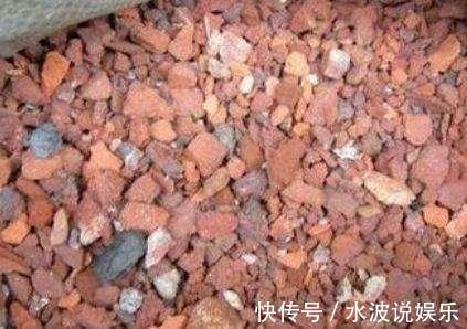 瓦块|高手养花的3个“法宝”,不烂根不黄叶,比啥土、啥肥都好