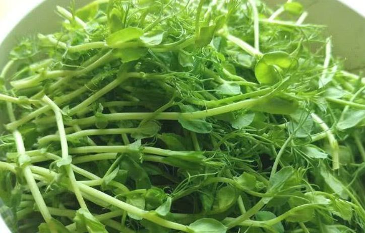 想长寿要会吃，四种食物换着来，营养丰富，美容美颜，早吃早好