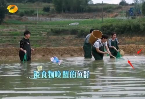 穿帮镜头 《向往的生活》多次被批穿帮造假,替身做饭,导演10字说出真相