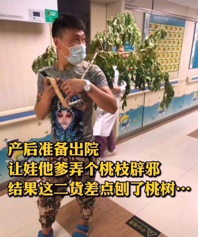 医院|“最憨厚爸爸”扛着桃枝，来医院迎接宝宝回家，网友果然是亲爹