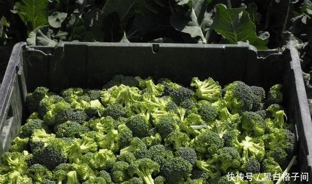 位数|这是天然“泻药”,每天吃一些，排出宿便，体重降到2位数