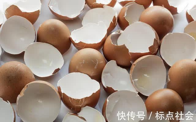 吃完的鸡蛋，壳不要再丢掉了，用水泡一泡，三大用途太实用了