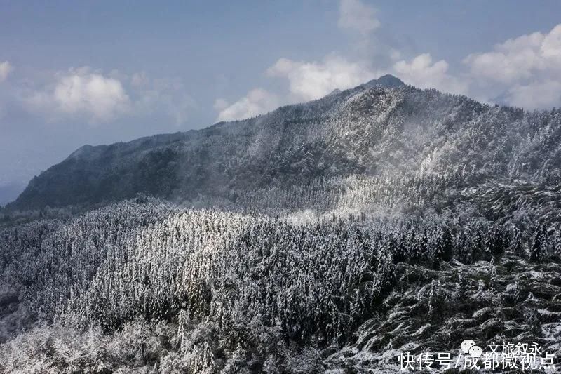 林海雪原|想看“林海雪原”，不用去东北，叙永就有