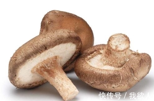 香菇不能和这个东西一起吃，你们知道吗