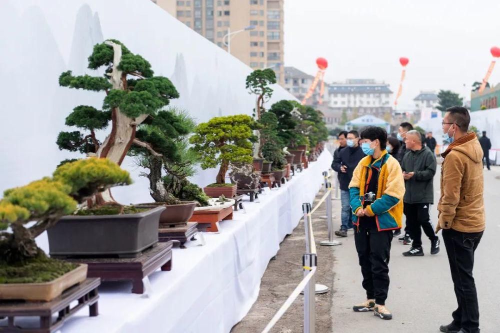 澧浦花木城|在金东，有个18岁大咖，成年礼上，它把绿水青山变成了金山银山！