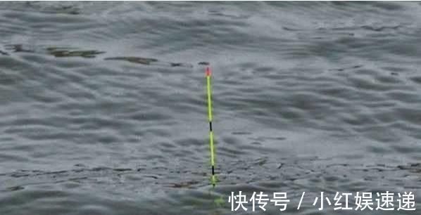 野钓|野钓实战探讨，短子线和长子线之间，哪一种优势更大