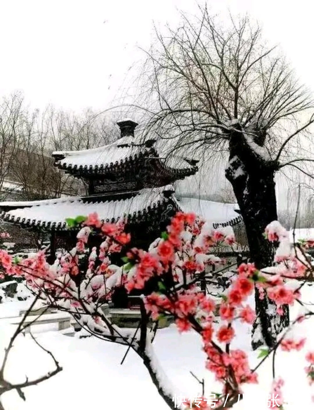 争锋$野渡征联:梅雪争锋春设局,征对下联