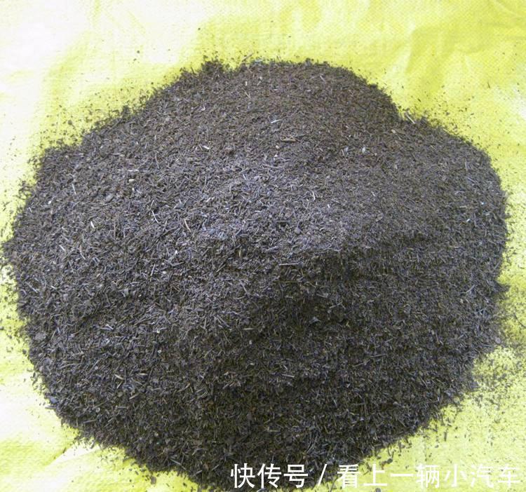 新手如何养花，选土