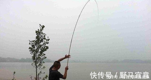 光头鱼司令|大鱼吃钩总在不经意间,为何别人能钓获大鱼,而你经常切线断钩