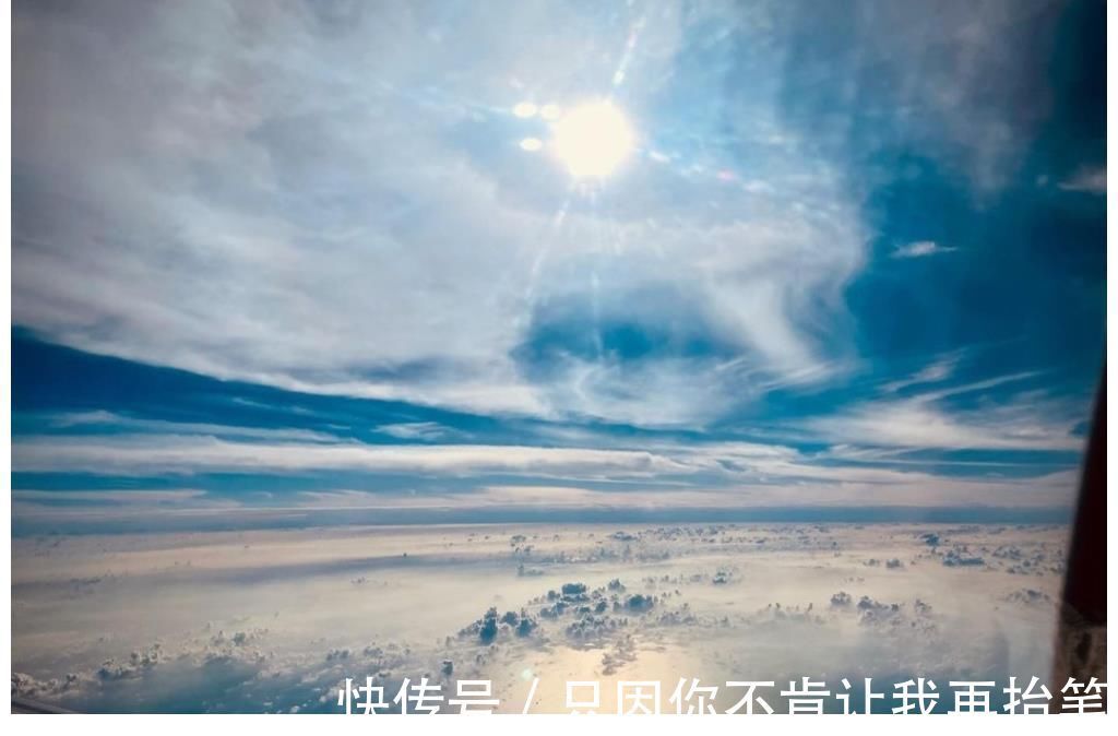 黄子韬高调晒私人飞机，在高空享受牛排大餐，宠物狗独享豪华座椅