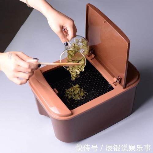 6种“垃圾”不要扔,拿来养花效果棒,省下一笔钱,废物又利用