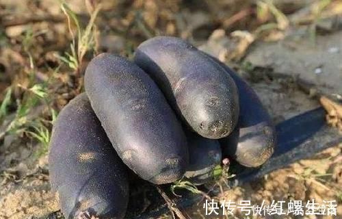 排毒|想长寿先养生,三种食物换着吃,养肝护肝,清热排毒,早吃早受益