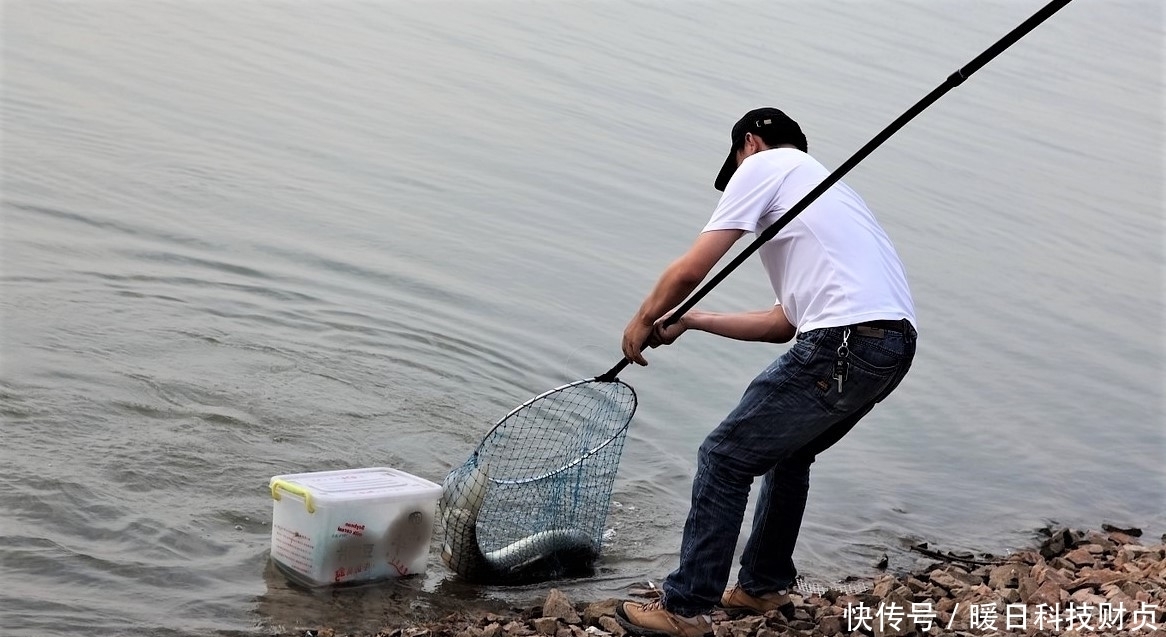 鱼类|夏天下暴雨，水变浑浊怎样钓鱼？注意几个方面细节，大鱼爆竿不停