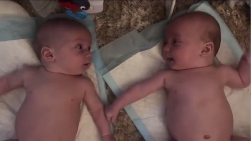 双胞胎|四个月大的双胞胎宝宝愉快的聊天火了,网友:这交流的真毫无障碍