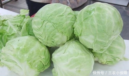 天然|患有胃病别慌, 常吃这些天然“养胃王”, 修复胃黏膜, 养胃更护胃!