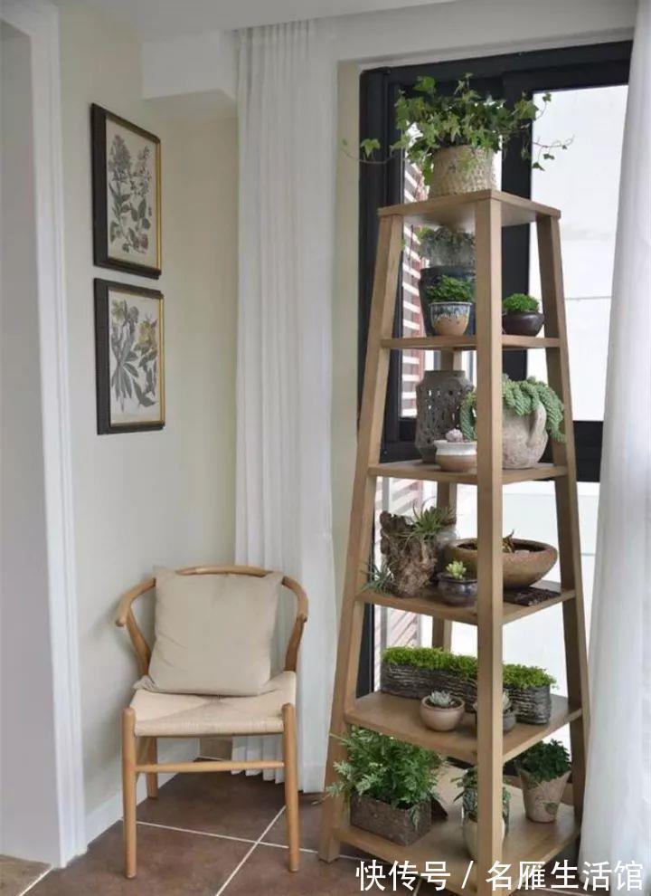 小花园|想在小户型里打造一个花园,不能少了它们,邻居都用它们