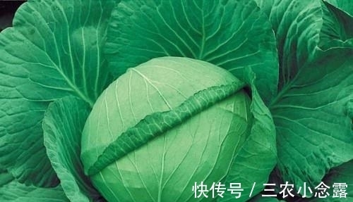 杀菌|胃炎, 胃溃疡有“3怕”, 常吃消炎杀菌, 胃病不攻自破!