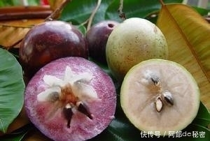 冬季,當(dāng)零食吃幾顆,嗓子不疼,咳嗽好了,女性乳腺不好可以試試