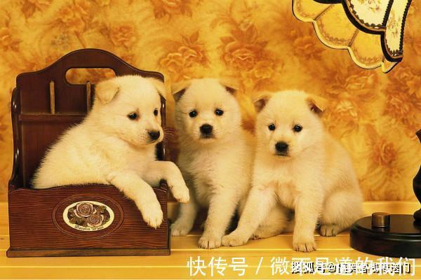 |内涵段子:昨天我刚和妈吵架,现在我俩谁也不理谁,让她过来干什么?