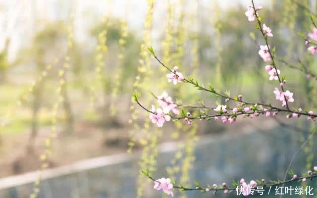 人生三碗面,你拥有哪一碗?