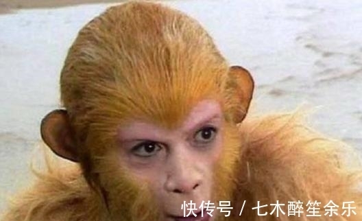 玉帝|如来观音玉帝都不知道菩提来历,花果山老猴为啥知道?他真身是啥