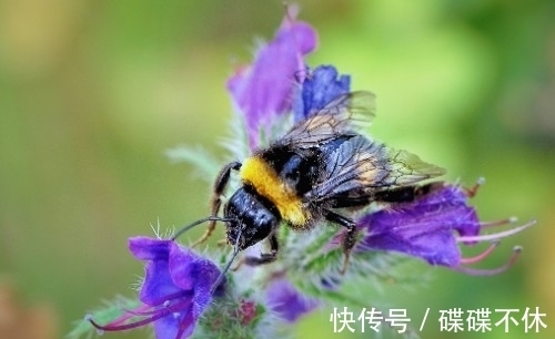 钱财大旺|年底3属相财运如火如荼，不缺贵人，事业一帆风顺