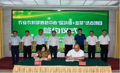 区块链|中国电信潍坊公司“区块链+韭菜”试点项目打造智慧农业新样板