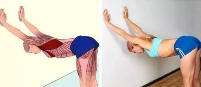 肌肉|全身拉筋3D图解，一步到位，在家也能强身健体