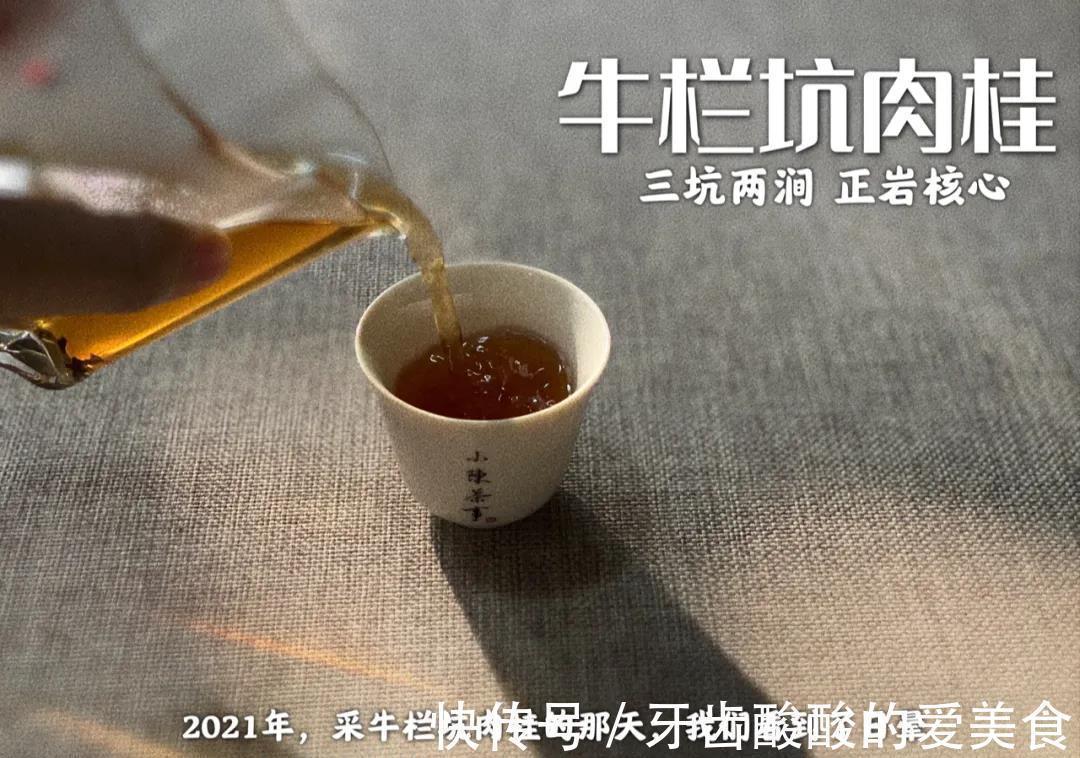 秋茶&春茶、夏茶、秋茶、冬茶、一年中哪个季节的茶好？一次性说清楚