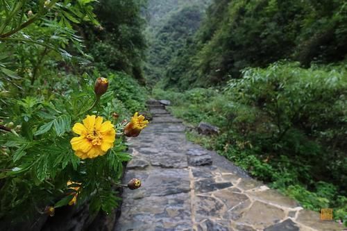 峡谷|这个景区号称世界奇观，不仅有奇绝的山路和峡谷，更有世界最美大桥