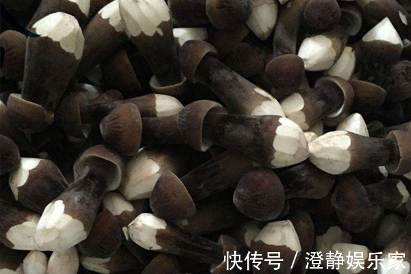 营养物质|女人常吃此“菌王”,每周2次,去湿气、暖子宫,远离妇科疾病