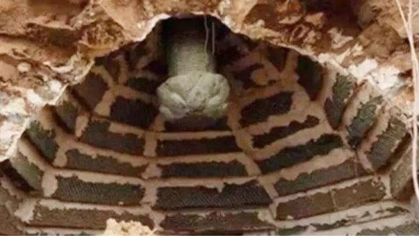 千年古墓被大蛇守护没人敢靠近,专家冒险前去揭开答案