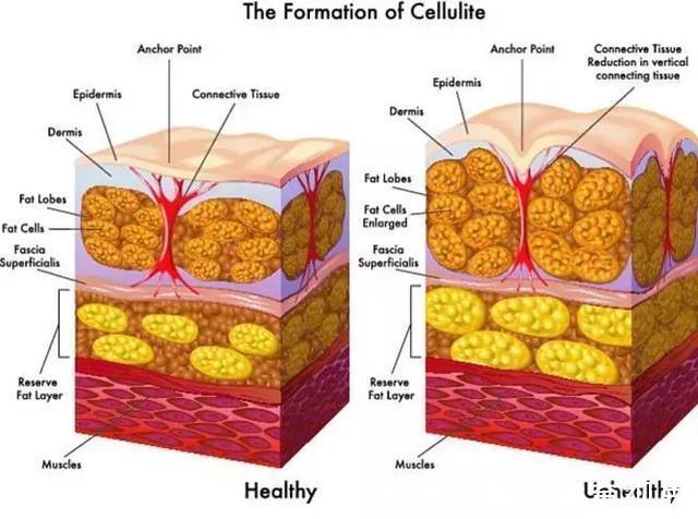性感|私教界的奶茶妹妹！身材完美只收女学员，女性如何打造性感身材？