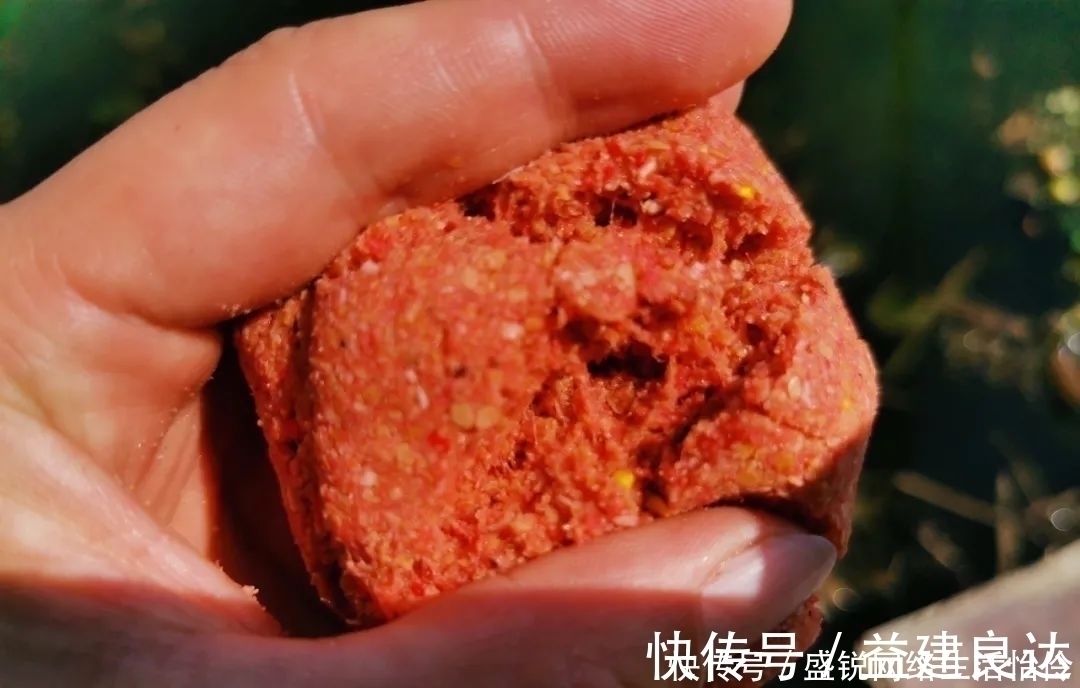 杂鱼|饵料中拉丝粉太多的利与弊,解决办法其实很简单,只要不嫌麻烦