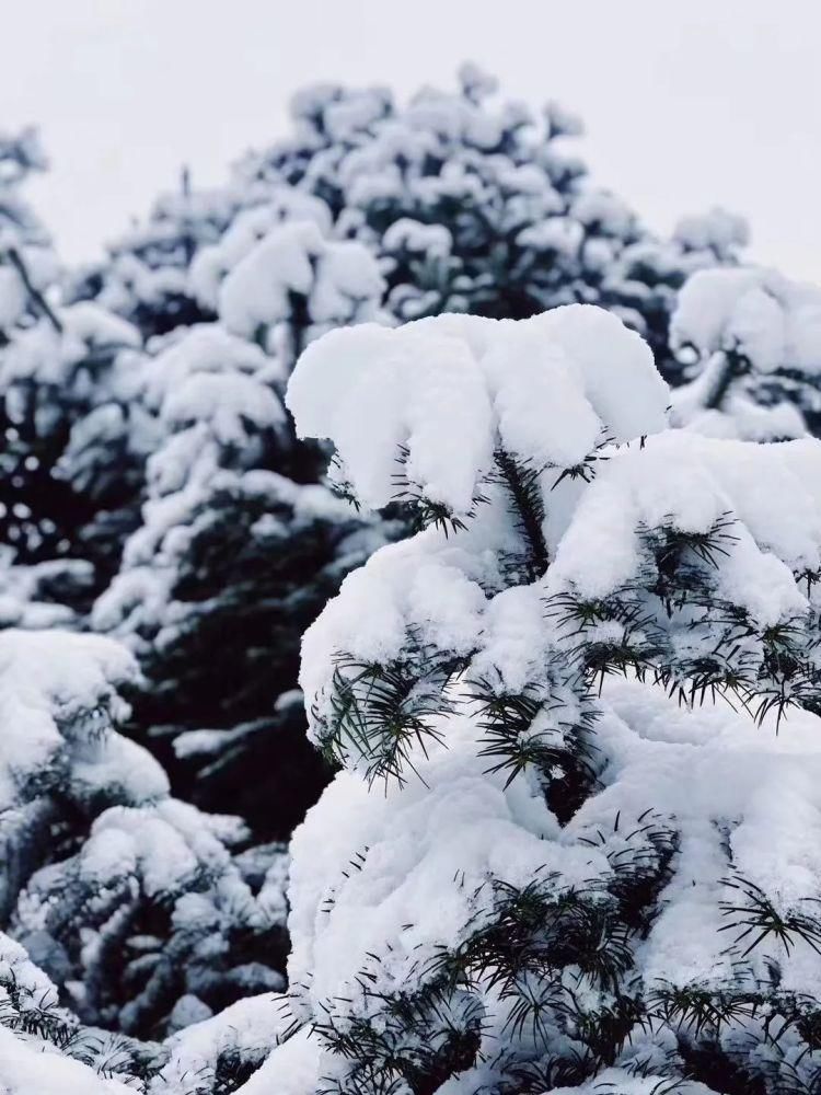 灵山|一下雪,灵山美出了新境界!