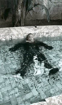 |搞笑GIF:哥们有你这样坐席的吗,你考虑过别人的感受吗